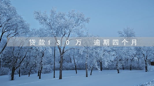 贷款130万 逾期四个月 贷款130万 逾期四个月